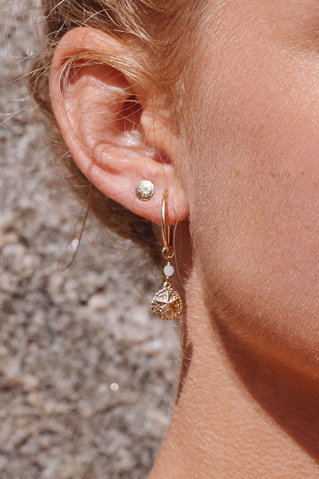 Gold Fill Sandollar Hoops, Earrings with  by Lunarsea Designs