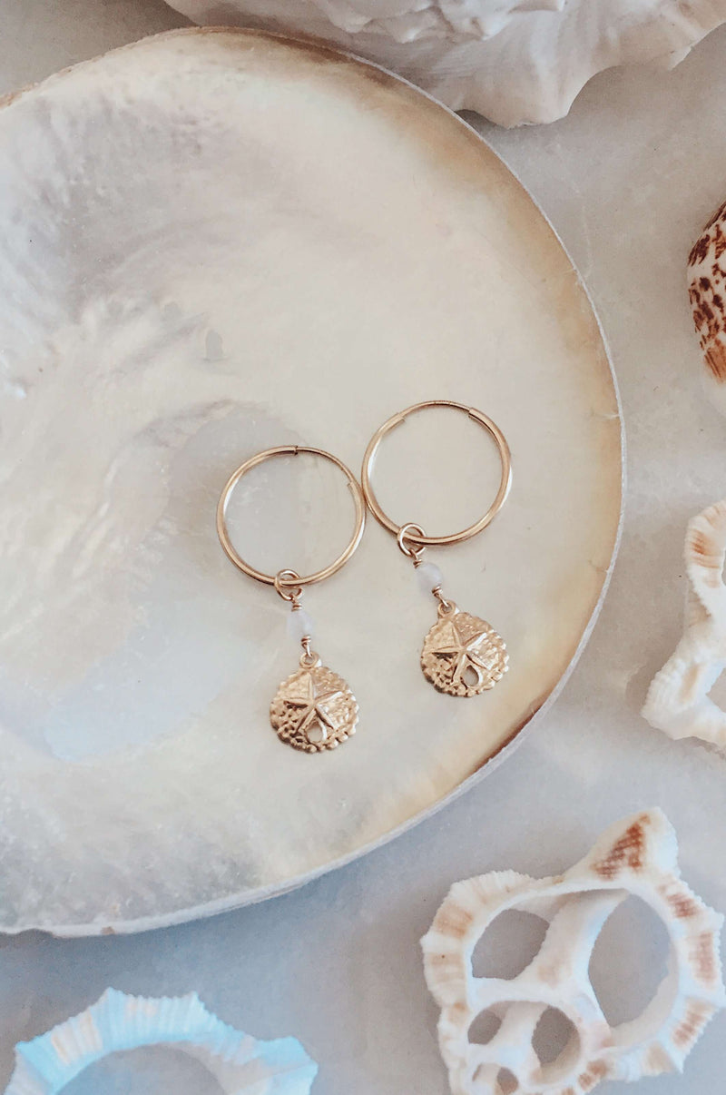Gold Fill Sandollar Hoops, Earrings with Rose Quartz by Lunarsea Designs