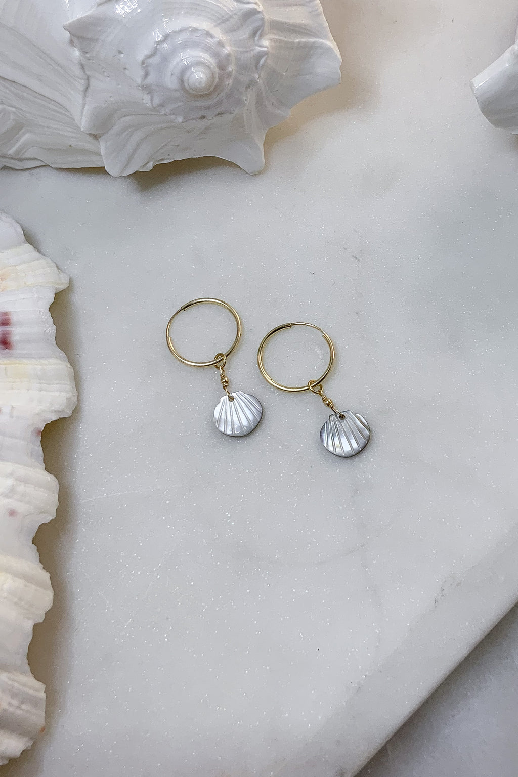 White Shell Hoops - Gold Fill