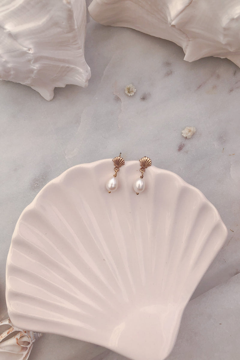 Scallop Stud Pearl Earrings - Gold Fill