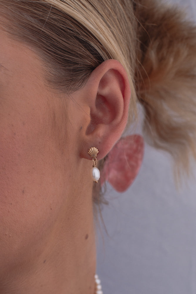 Scallop Stud Pearl Earrings - Gold Fill