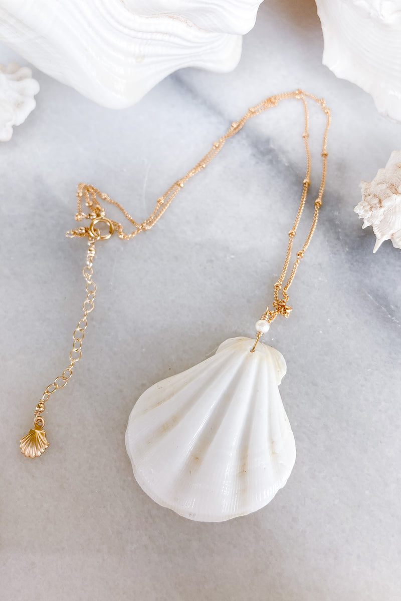 white scallop shell gold necklace 