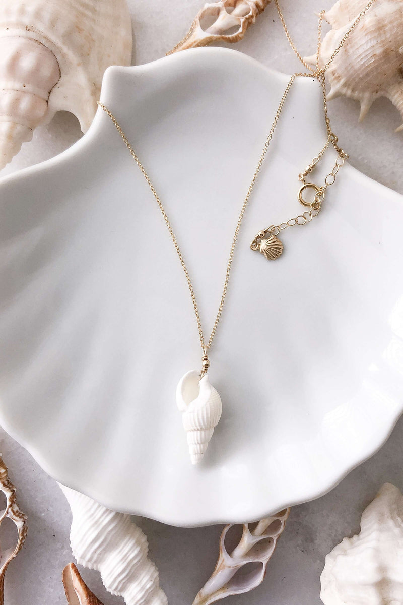 Cone Shell Necklace - Gold Fill, Necklace with  by Lunarsea Designs