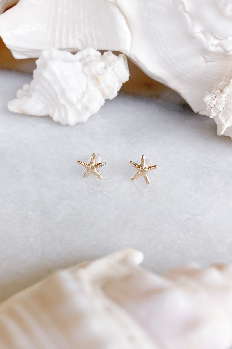 starfish gold filled studs