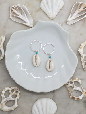 Sterling Silver Cowrie Shell Hoops, Earrings with Turquoise by Lunarsea Designs