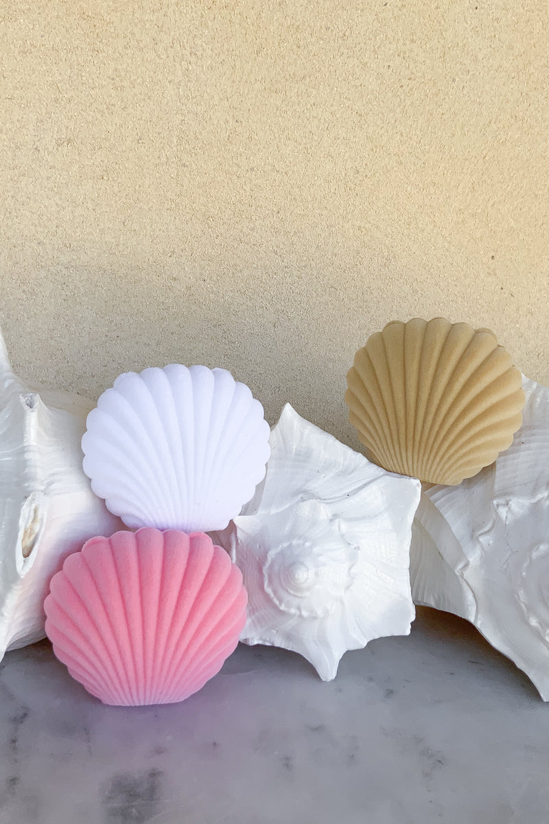 Small Shell Box