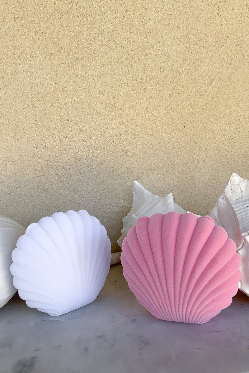 Large Shell Box