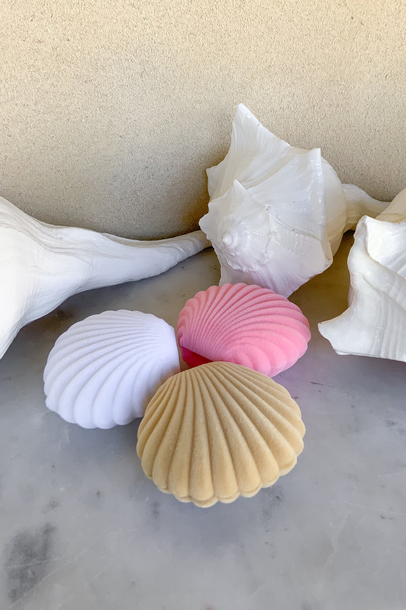Small Shell Box