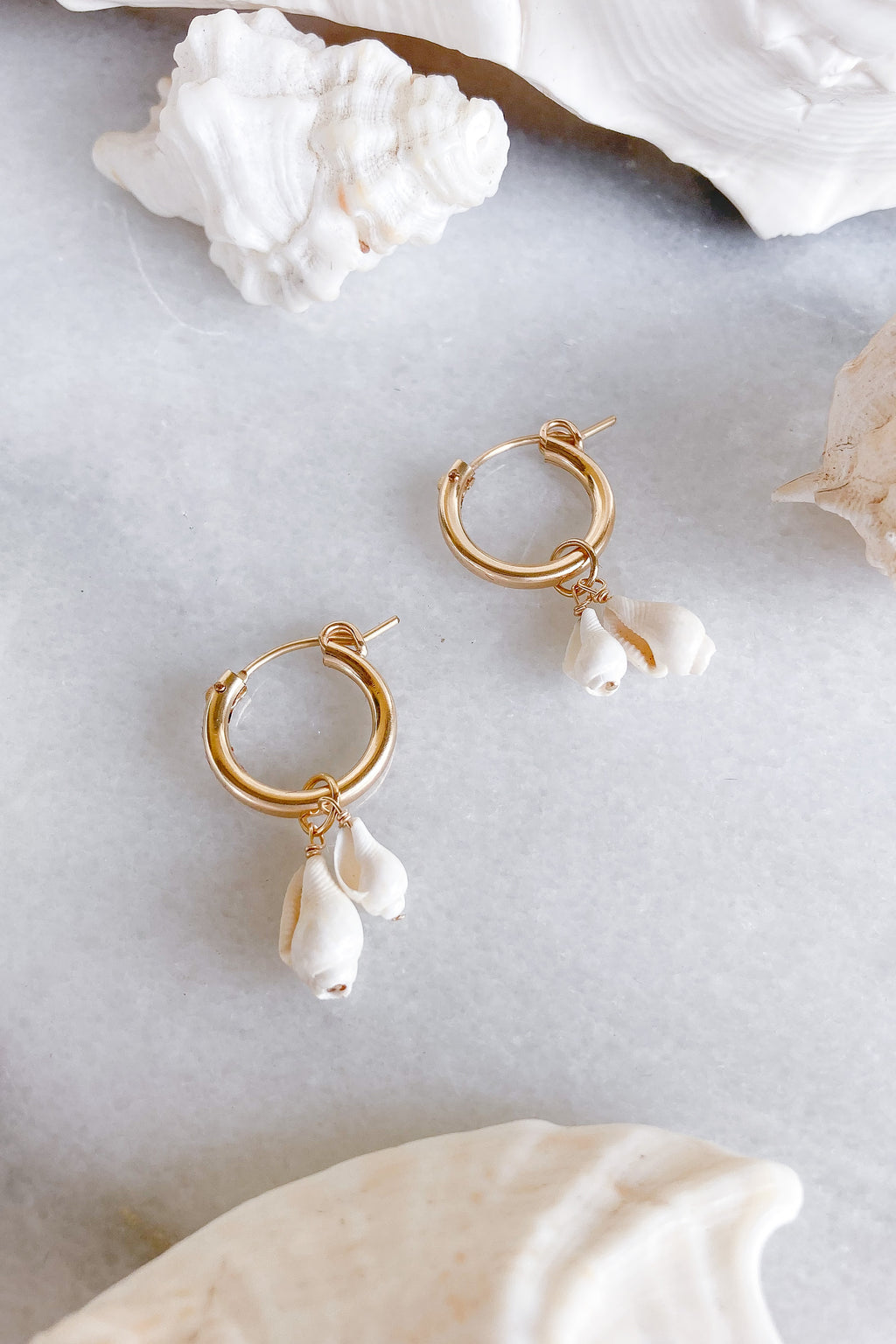 shell gold hoops earrings